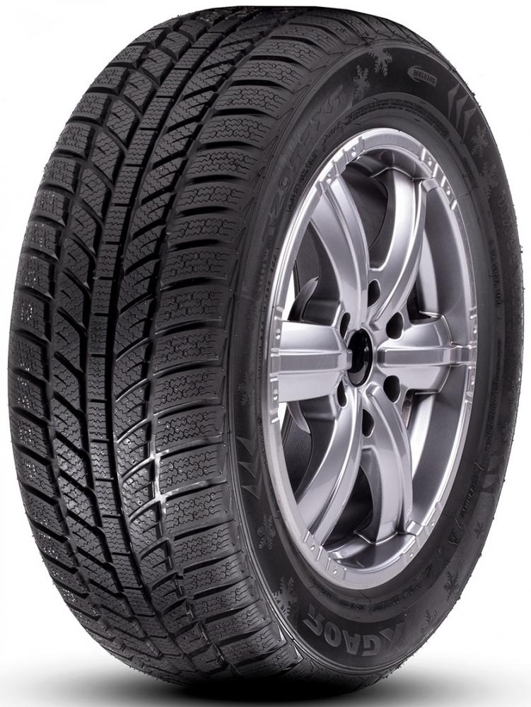 Roadx RXFrost WH01 205/55 R16 91H